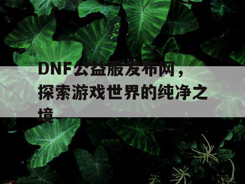 DNF公益服发布网，探索游戏世界的纯净之境