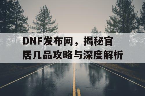 DNF发布网，揭秘官居几品攻略与深度解析