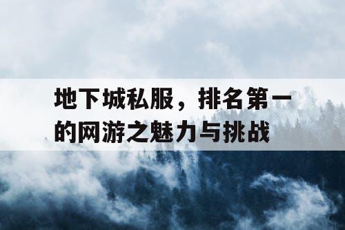 地下城私服，排名第一的网游之魅力与挑战