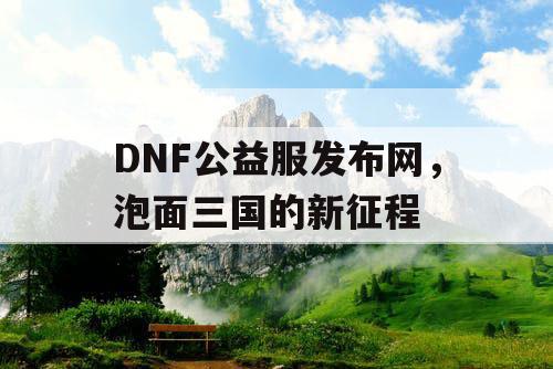 DNF公益服发布网，泡面三国的新征程