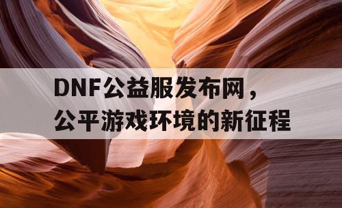 DNF公益服发布网，公平游戏环境的新征程